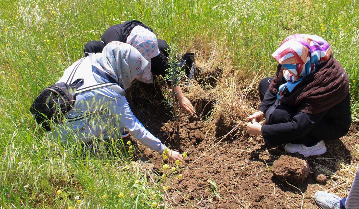 Bülbülzade Vakfı, Fidan Bağışı Kampanyası ile Kurtuluş Ormanını Yeşillendirdi